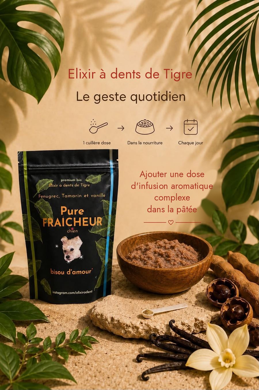 Le geste quotidien : une cuillère dose ajoutée dans la gamelle