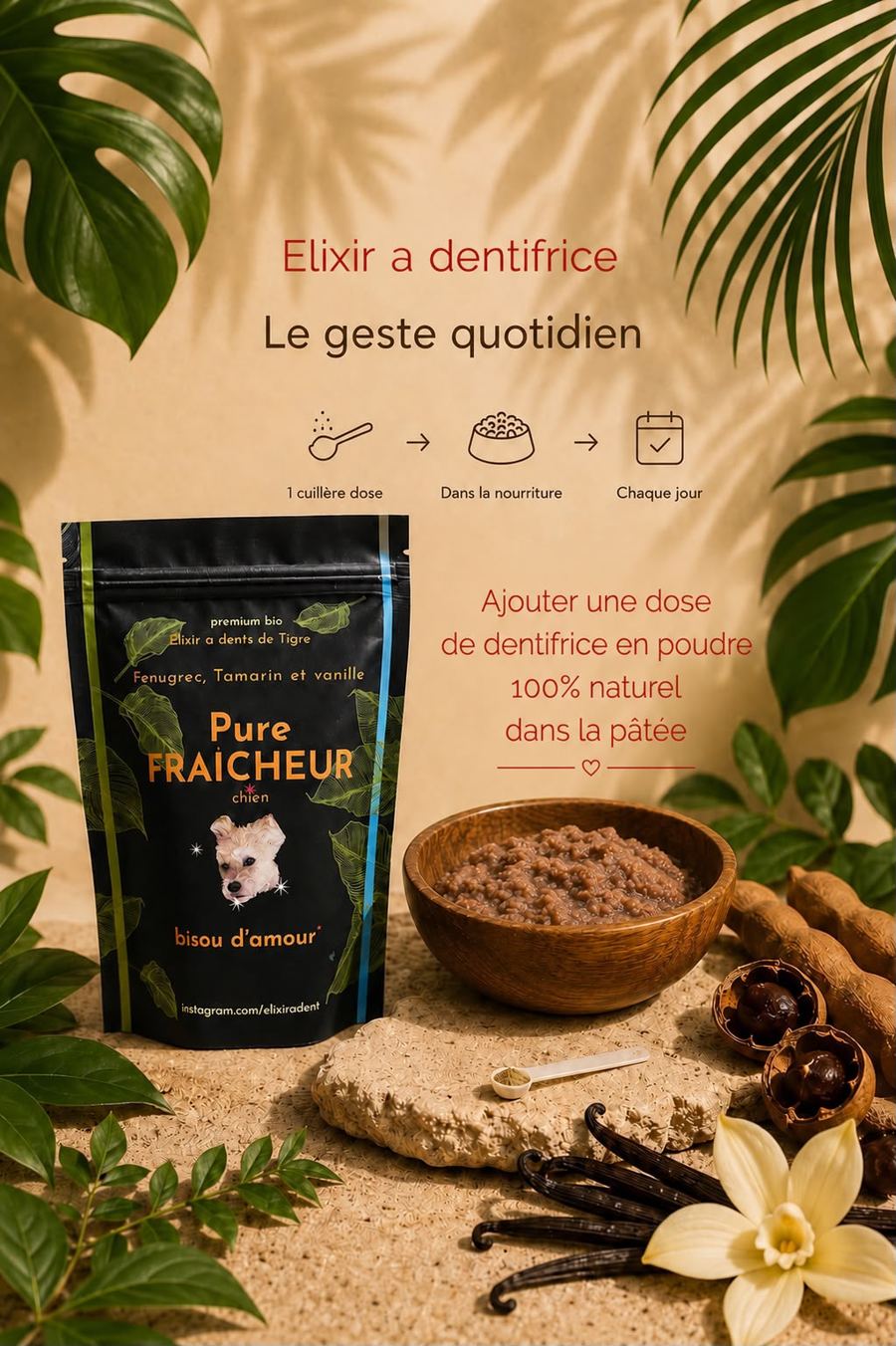 Le geste quotidien : une cuillère dose de poudre ajoutée dans la gamelle
