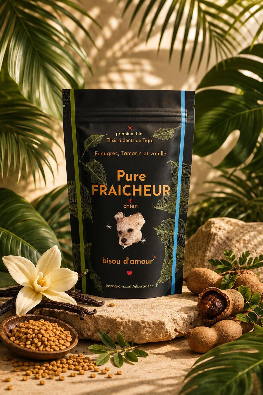 Le sachet Elixiradent Pure Fraîcheur posé sur une pierre, entouré de fenugrec, vanille et tamarin